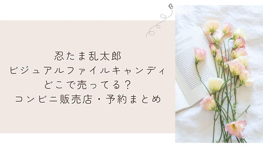 忍たま乱太郎ビジュアルファイルキャンディどこで売ってる？コンビニ販売店・予約まとめ