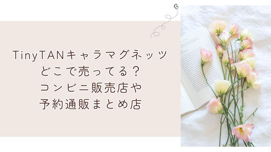 TinyTANキャラマグネッツどこで売ってる？コンビニ販売店や予約通販まとめ