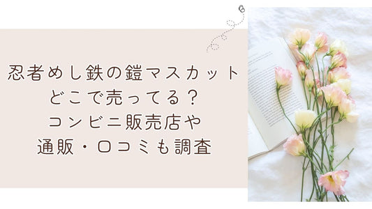 忍者めし鉄の鎧マスカットどこで売ってる？コンビニ販売店や通販・口コミも調査