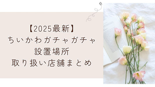 【2025最新】ちいかわガチャガチャ設置場所・取り扱い店舗まとめ