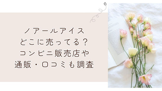 ノアールアイスどこに売ってる？コンビニ販売店や通販・口コミも調査