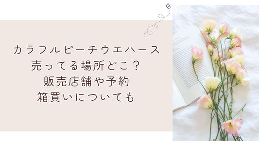 カラフルピーチウエハース売ってる場所どこ？販売店舗や予約・箱買いについても