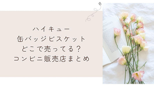 ハイキュー缶バッジビスケットどこで売ってる？コンビニ販売店まとめ